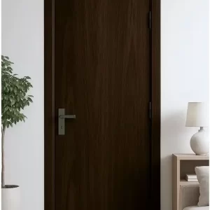 CỬA PHẲNG SD - P