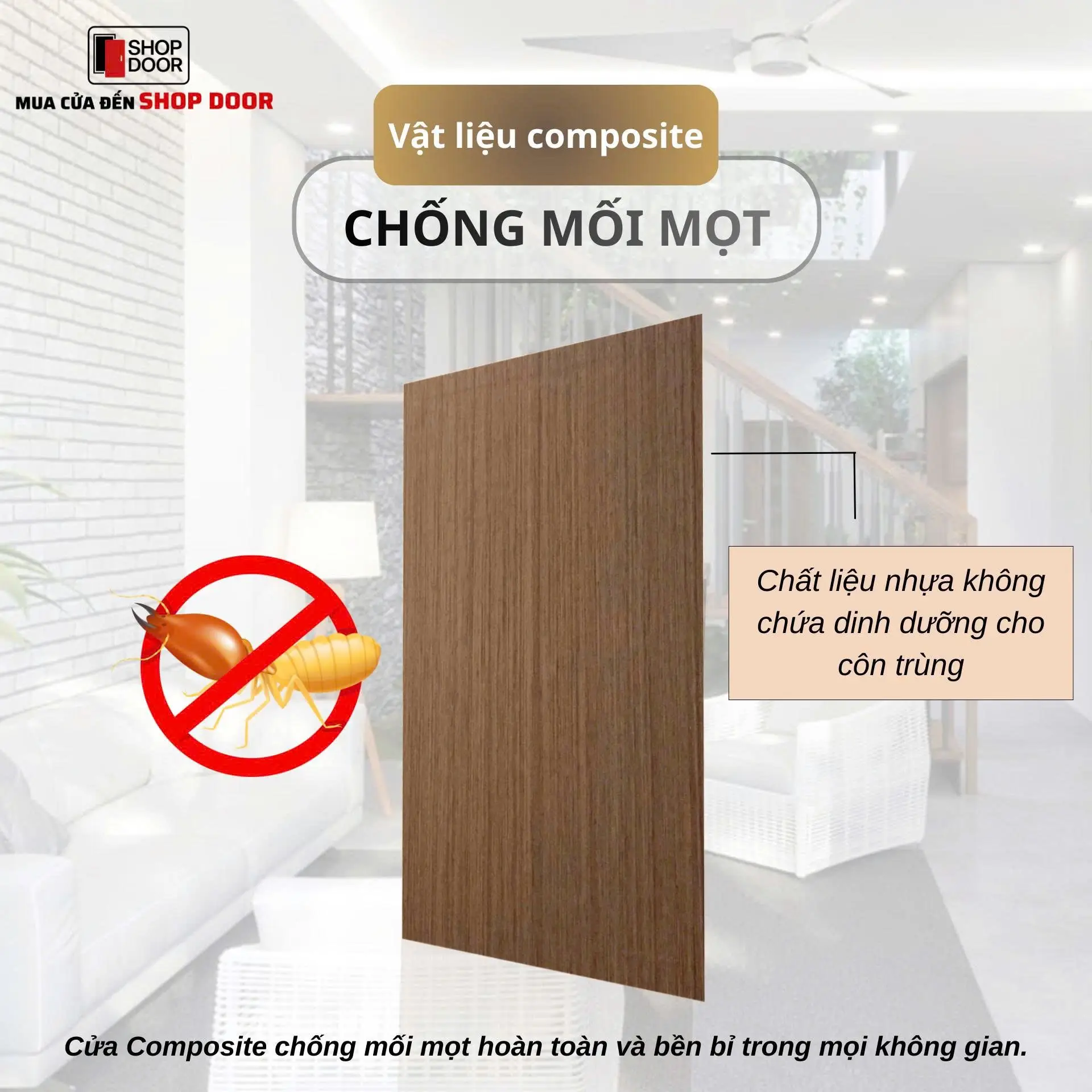 Hình ảnh cấu tạo lõi cửa Composite WPC