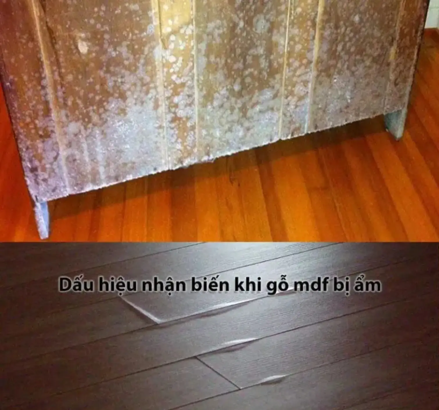 cửa MDF bị phồng chân do lau sàn